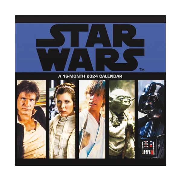 TRENDS INTERNATIONAL STAR Wars Saga 2024 12 x 12 Wall Calendar w 15.