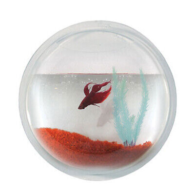 New! Wall Mounted Fish Tank - Betta Bubble Aquarium - Acrylic Terrarium