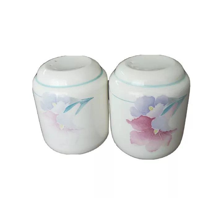 Noritake Keltcraft Misty Isle Mendocino Ireland Salt and Pepper Shaker