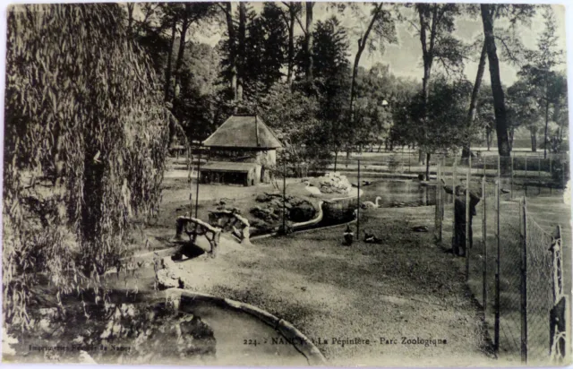 Carte postale de Nancy: Le parc zoologique de la Pépinière. Carte écrite en 1917