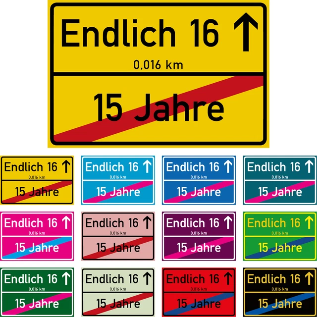 ENDLICH 16 JAHRE Ortsschild 16. Geburtstag Schild in 12 Farben 300 x