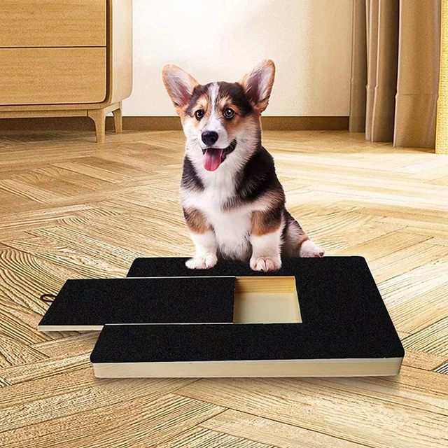 DOG NAIL FILE for Brand Dog Paw Nail Scratch Pad with Food Box 29.69
