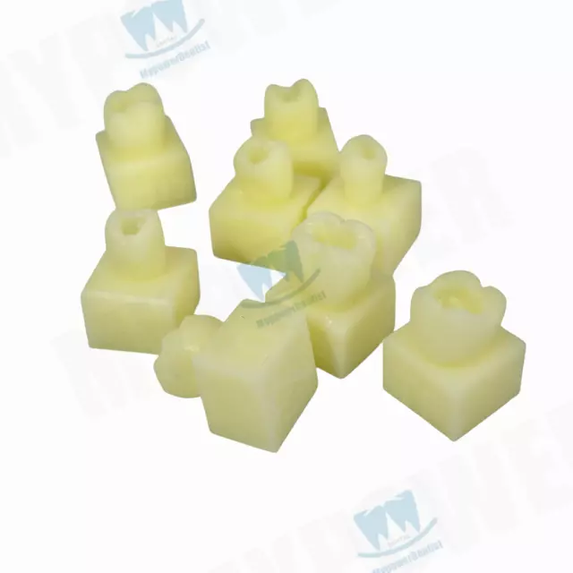 Dental Composite Resin Filling Dentist Student Test Model Teeth Practise Model