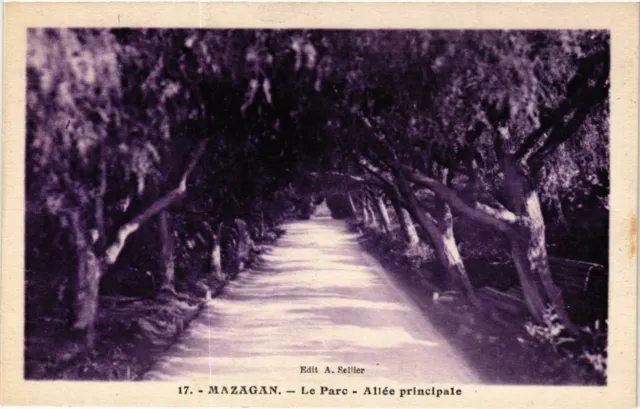 CPA AK MAROC MAZAGAN - Le Parc - Allée principale (219276)