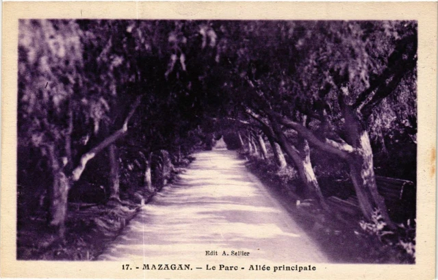 CPA AK MAROC MAZAGAN - The Park - Main Avenue (219276)