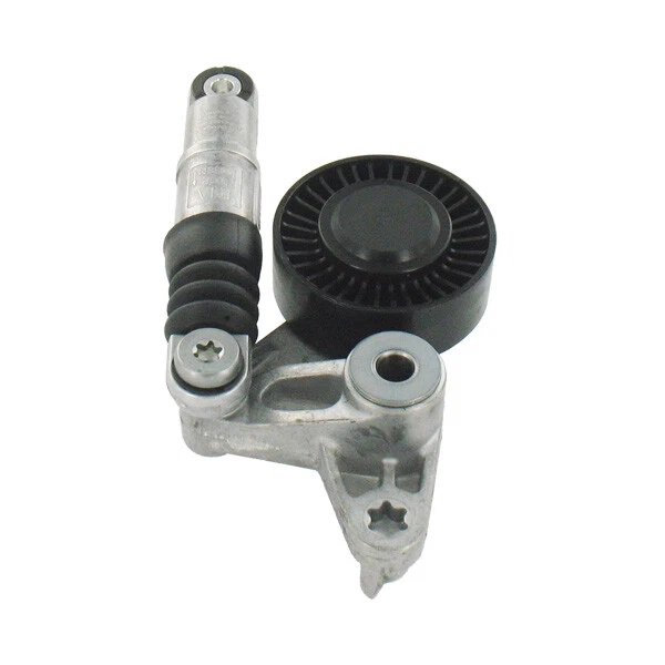 SKF Poulie-tendeur courroie trapézoïdale VKM 31300 Pour AUDI AUDI (FAW) VW
