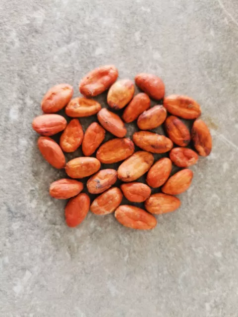 250g de Fève de Cacao de Madagascar Torréfiés - Qualité Premium 2