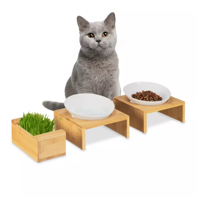 Comedero y bebedero para gatos Soporte para comida de gatos Cuenco para hierba
