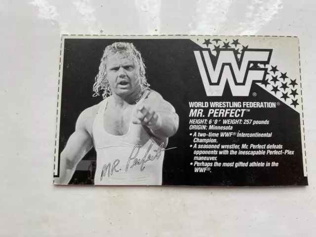 Wwe Mr Perfect Curt Hennig Hasbro Wrestling Figura Bio Card Wwf Serie 3 Biocard