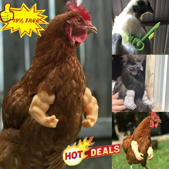 Brazos para pollo impresos en 3D, puños meme, pulgares arriba decoración de pollo LO ÚLTIMO