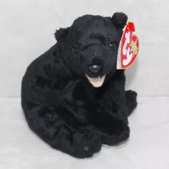 TY Beanie Baby Collection Cinders Bear 2000 Retired NEW Plush Stuffed Toy NWT