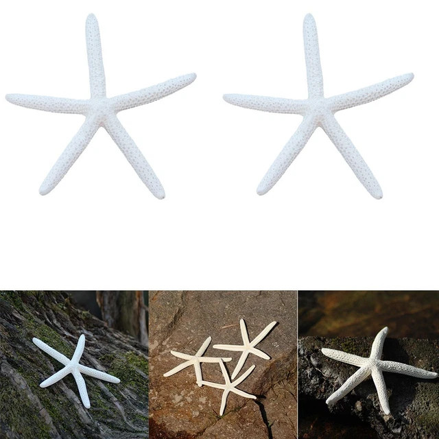2 un. lápiz blanco cremoso dedo estrella de mar para boda decoración del hogar