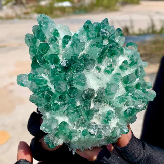 677g  New Find green Phantom Quartz Crystal Cluster Mineral Specimen