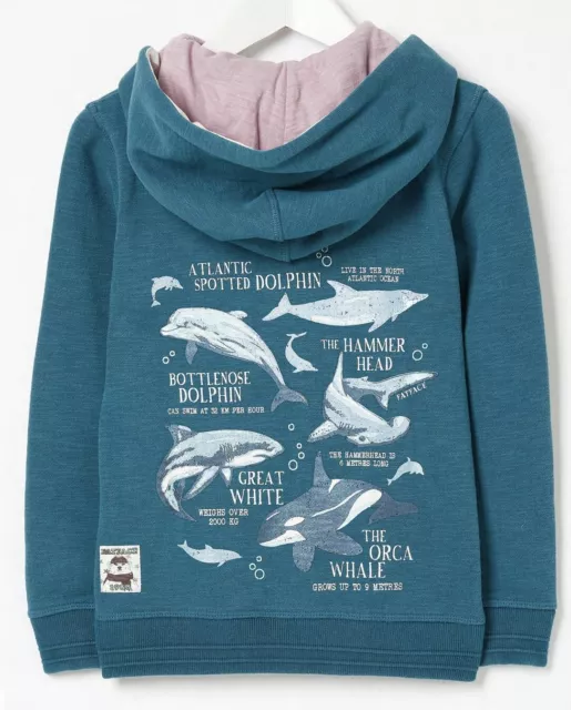 Fat face shark hoodie 2025