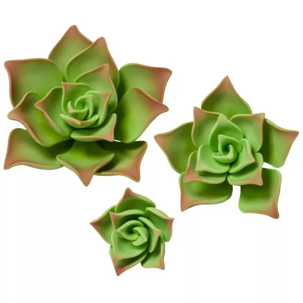 6 suculentas verdes individuales pasta de goma gumpaste flores fondant azúcar
