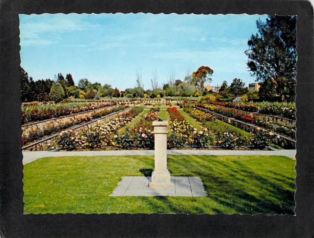 B6109 Australia SA Adelaide South Parklands Rose Gardens NCV postcard
