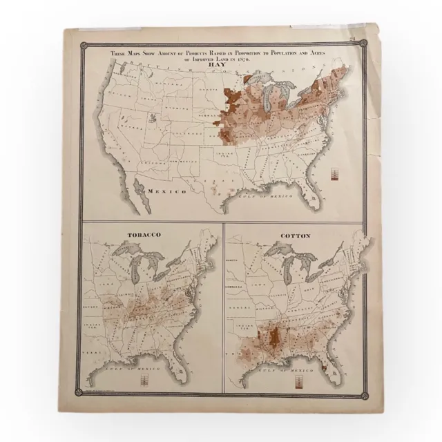 Map of Products (Hay, Tobacco, Cotton) in the USA - 1877
