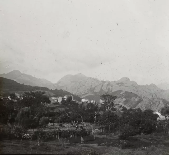 FRANCE CORSE c1930 Photo Vintage Plaque de verre V35L7n14