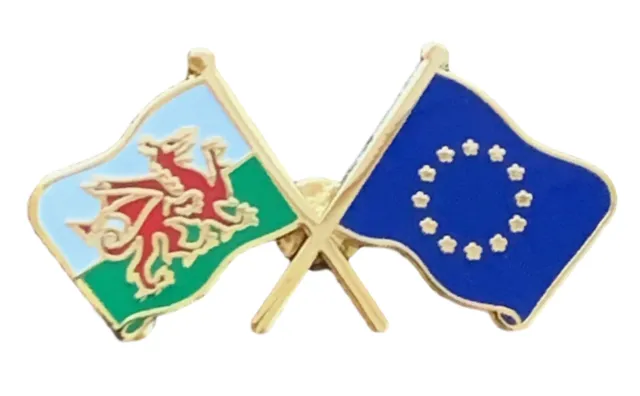 Wales & EU European Union Flags Friendship Courtesy Enamel Lapel Pin Badge T491