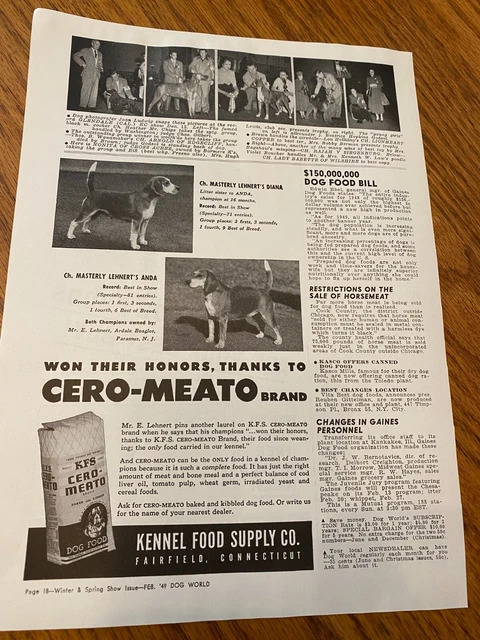 Vintage Cero-Meato Dog Food Ad - Beagle