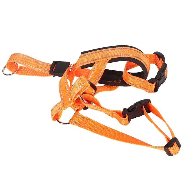 Collare testa cane muso resistente alla trazione regolabile supporto testa cane muso prevenzione