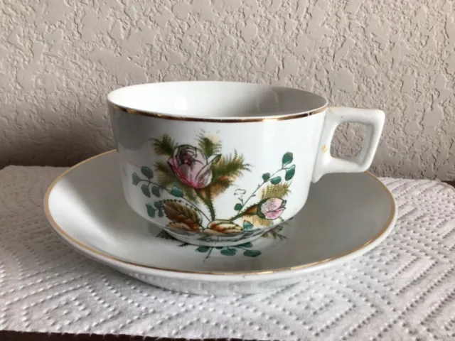 Vintage Royal Ironstone China Alfred Meakin Moss Rose Tea Cup & Saucer England