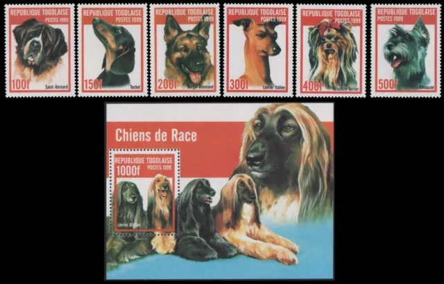 Togo 1999 - Mi-Nr. 2823-2828 & Block 439 ** - MNH - Hunde / Dogs
