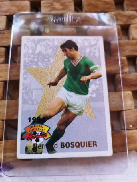 Lot 75 cartes Panini 1995 collector - Collection Lot 75 cartes Panini 1995 collector - Collection