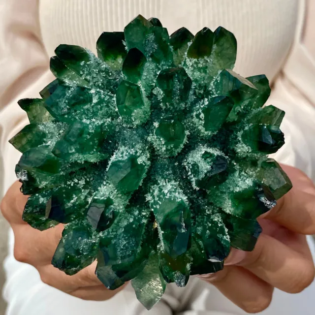 1.34LB New Find Green Phantom Quartz Crystal Cluster Mineral Specimen Healing