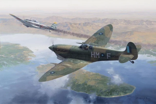 Supermarine Spitfire V 136 Squadron SEAC Burma Aviation Art Print Darryl Legg