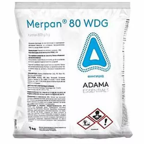 Merpan 80 WDG MAKE UP fungicida a base di Captano , monilia, bolla, corineo