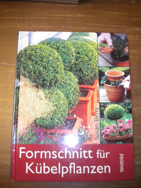 BUCH WELTBILD FORMSCHNITT für Kübelpflanzen 96 S. viele Fotos Susan