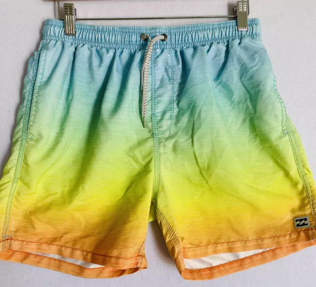 Billabong Lay Backs Size 32 Men’s Shorts Elastic Waist Summer Beach Pants