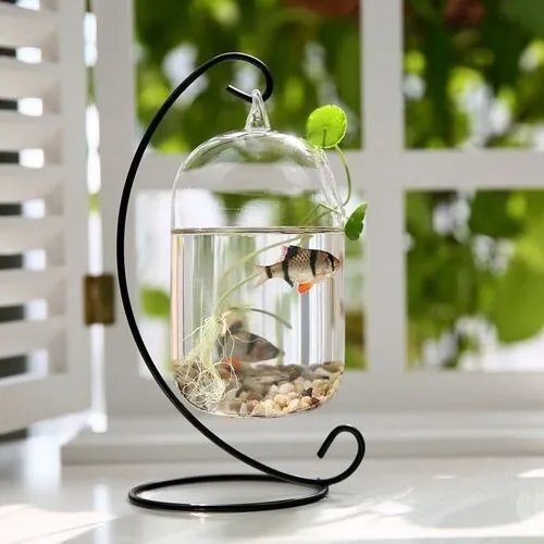 Fish Tank Round Shape Hanging Fish Bowl Glass Aquarium Tank Flower Home Deco