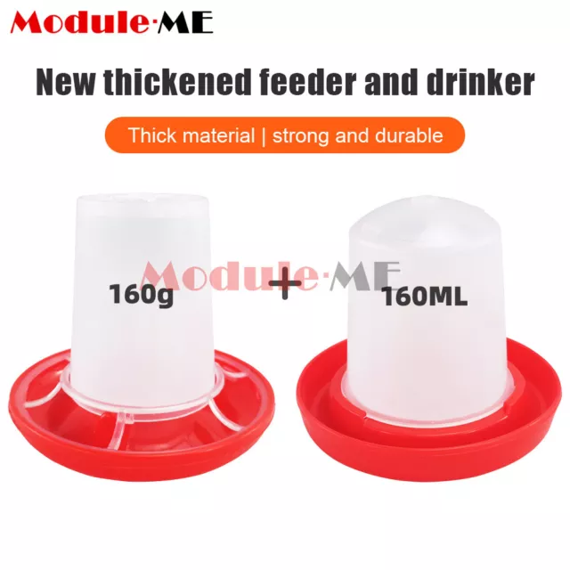 160G Feeder / 160ML Drinker Chicken/Poultry/Chick/Hen Food And Water Accessories