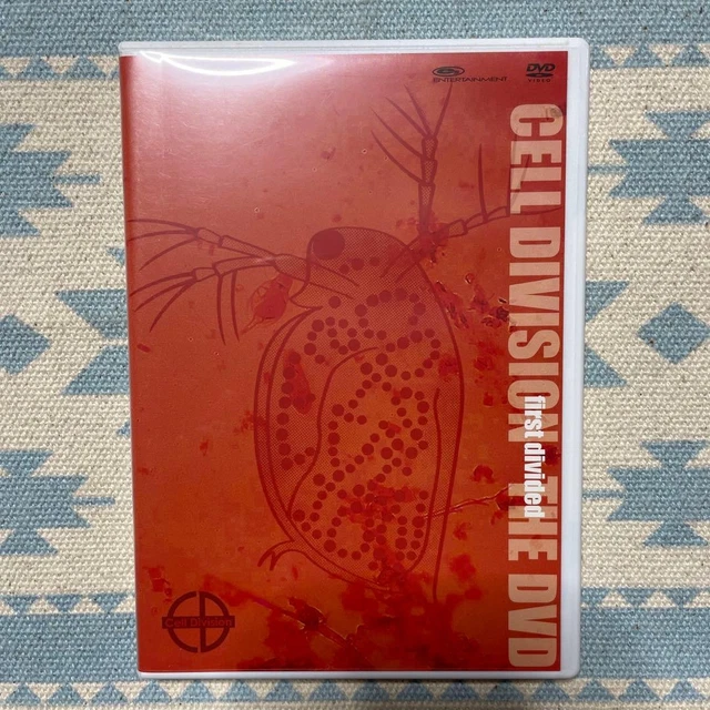マンウィズ Gratz CELL DIVISION DVD マンウィズ Gratz CELL DIVISION