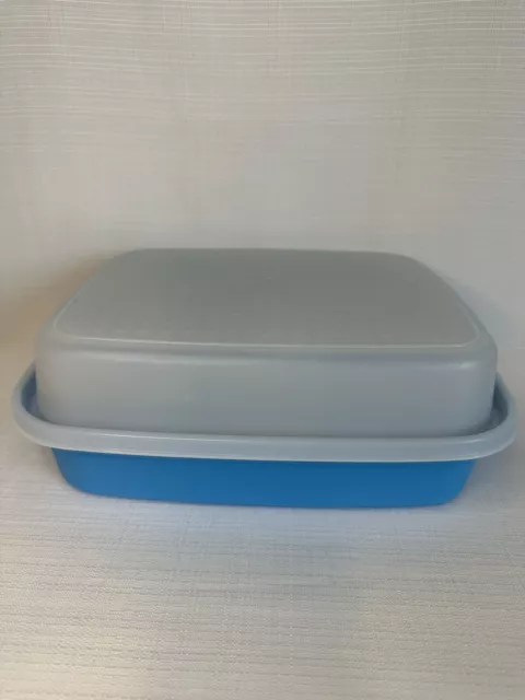 https://www.picclickimg.com/75kAAOSwNlVky8oX/Tupperware-Season-And-Serve-Marinade-Container-1294-Light.webp