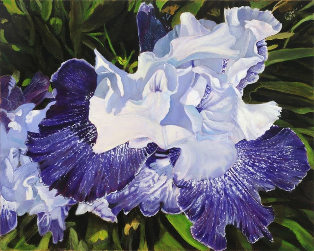 Robert West Flamenco Dance of The Iris Flower Contemporary Oil Painting 16x20