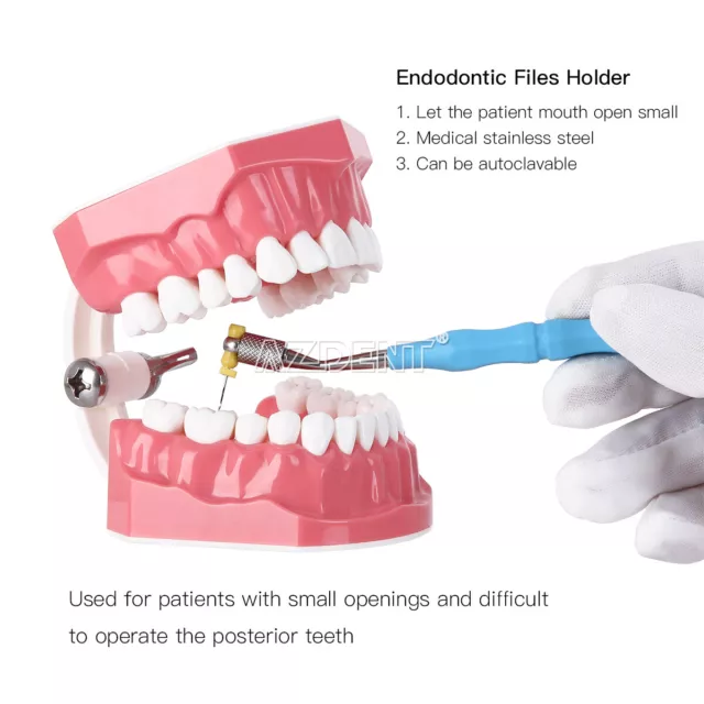 Dental Endodontic File Holder K-Files Handle Hand Use Root Canal Clip Teeth Endo 2