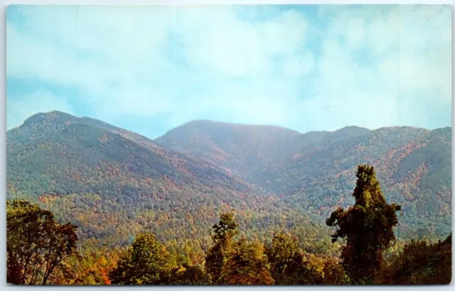 Postcard - The Great Smoky Mountains National Park