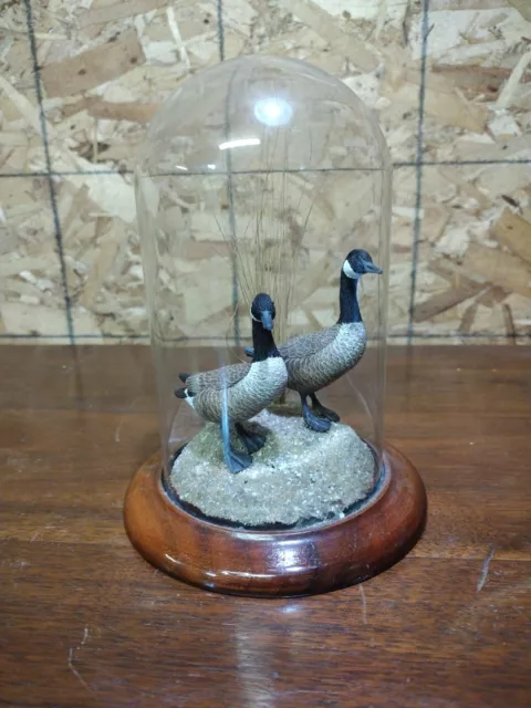 William DeSelm's 1988 Original Run #3 Hand Carved Canadian Geese Roseville, Il 3