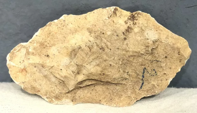 100% Authentic Prehistoric Stone Age Hand Axe Neolithic Paleolithic Artifact