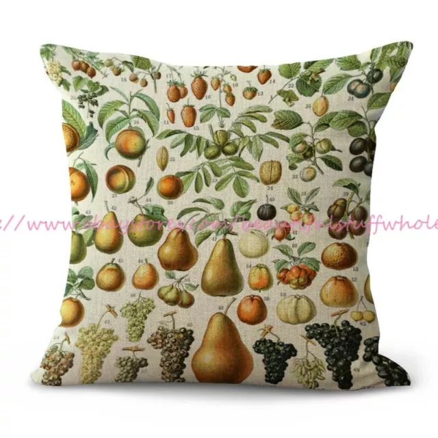 cheap home decor ideas Adolphe Millot fruits cushion cover