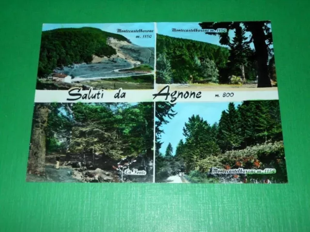 Cartolina Saluti da Agnone ( Isernia ) - Vedute diverse 1965.