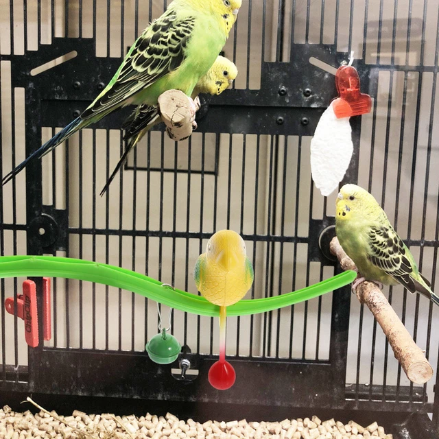 Lot De 4 Perchoirs Pour Oiseaux En Résine Abrasive - Pour Perroquets, Perruches, Cacatoès… - Colorés