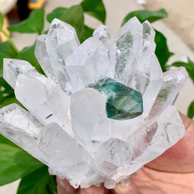 507G New Find white+green Phantom Quartz Crystal Cluster MineralSpecimenHealing