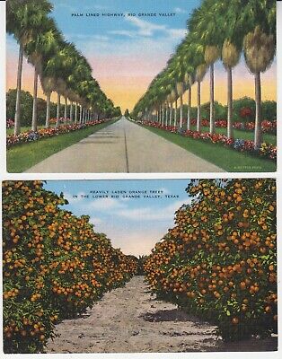 (2) Vintage RIO GRANDE VALLEY "Natural Color Card" Postcards - E.C. Kropp Co.