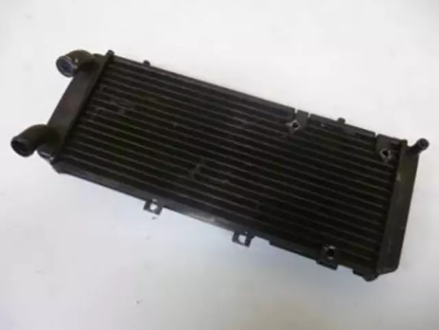 Radiateur de refroidissement origine pour moto pour motocycle 45280 Occasion