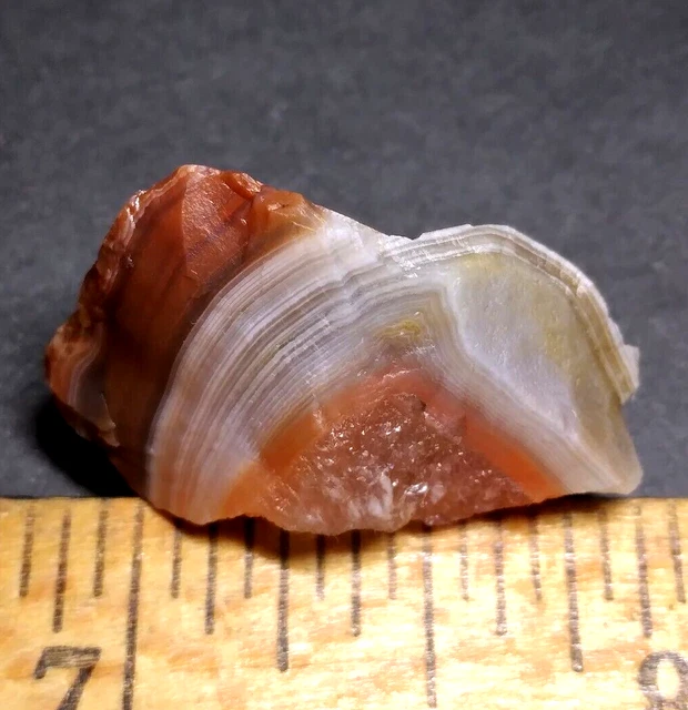 Lake Superior Agate 0.24 oz 'FORTIFIED PEELER' Rough Lapidary Gemstone - upnorth