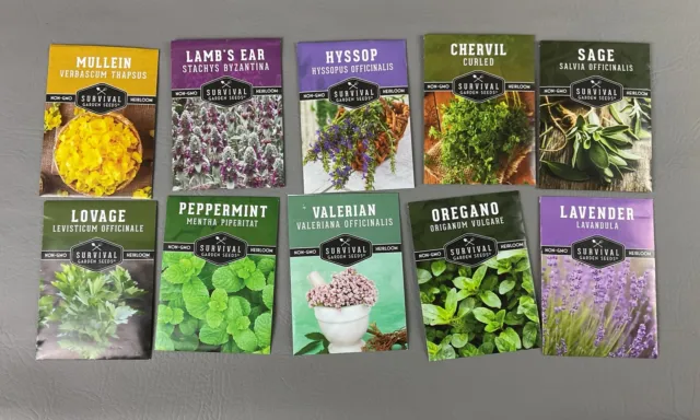 Survival Medicinal Herb Garden - 10 Essential Herb Seeds - Non-GMO -